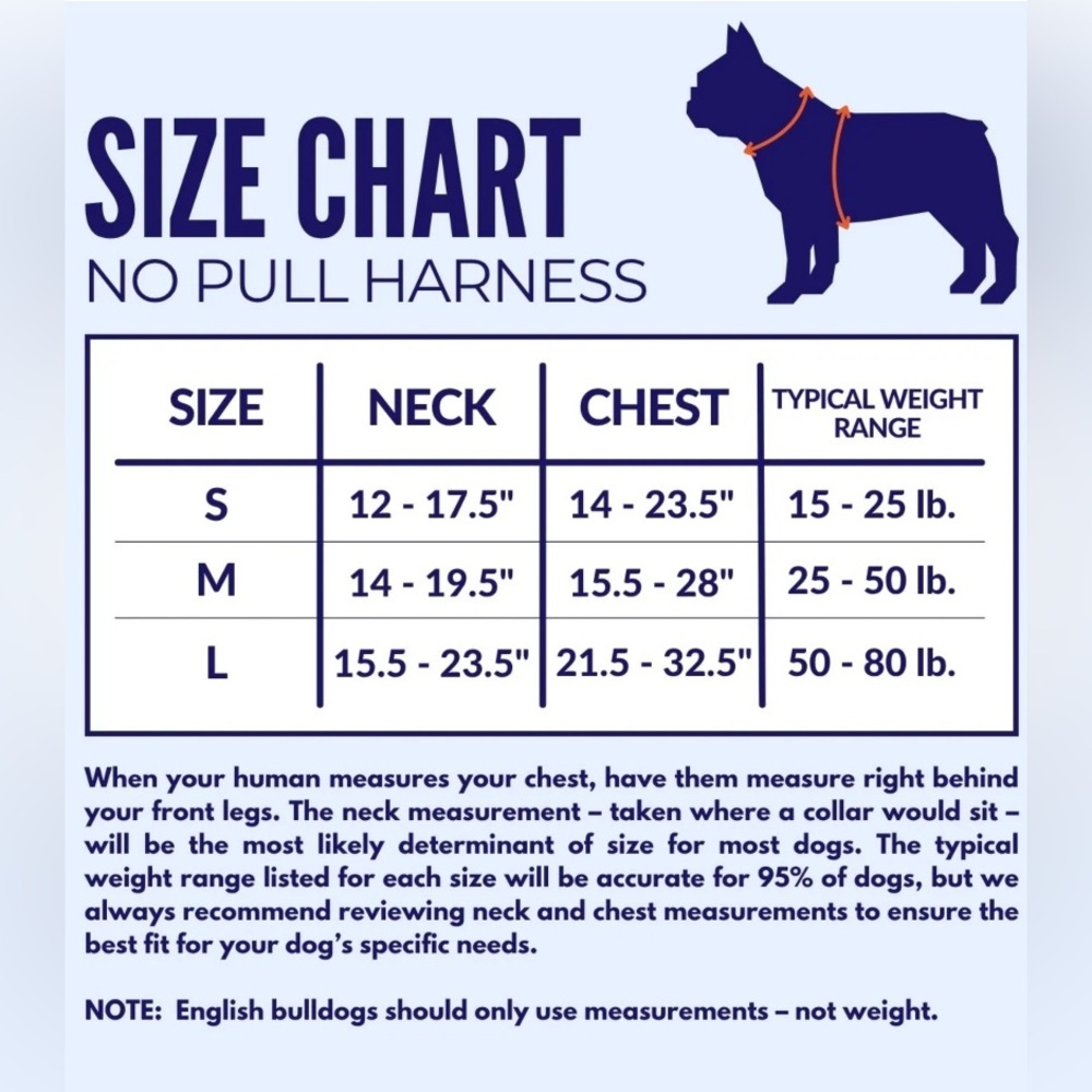 🦋B2G1🦋BEAST & BUCKLE Blue No Pull Harness & Leash Set | SMALL | - Picture 11 of 12